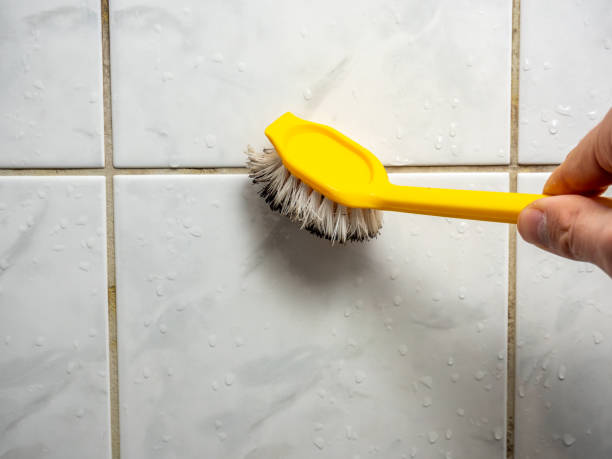 Best Fast Mold Removal  in Richgrove, CA