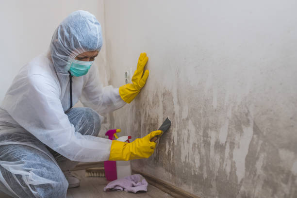 Best Crawl Space Mold Removal  in Richgrove, CA