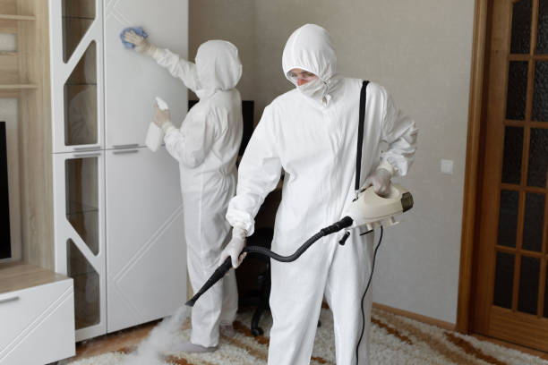 Crawl Space Mold Removal in Richgrove, CA