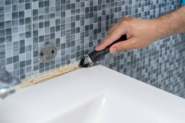 Best Same-Day Mold Removal  in Richgrove, CA