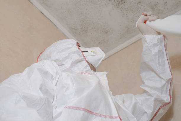 Best Mold Remediation  in Richgrove, CA