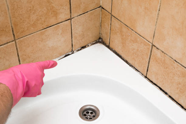 Best Home Mold Removal  in Richgrove, CA